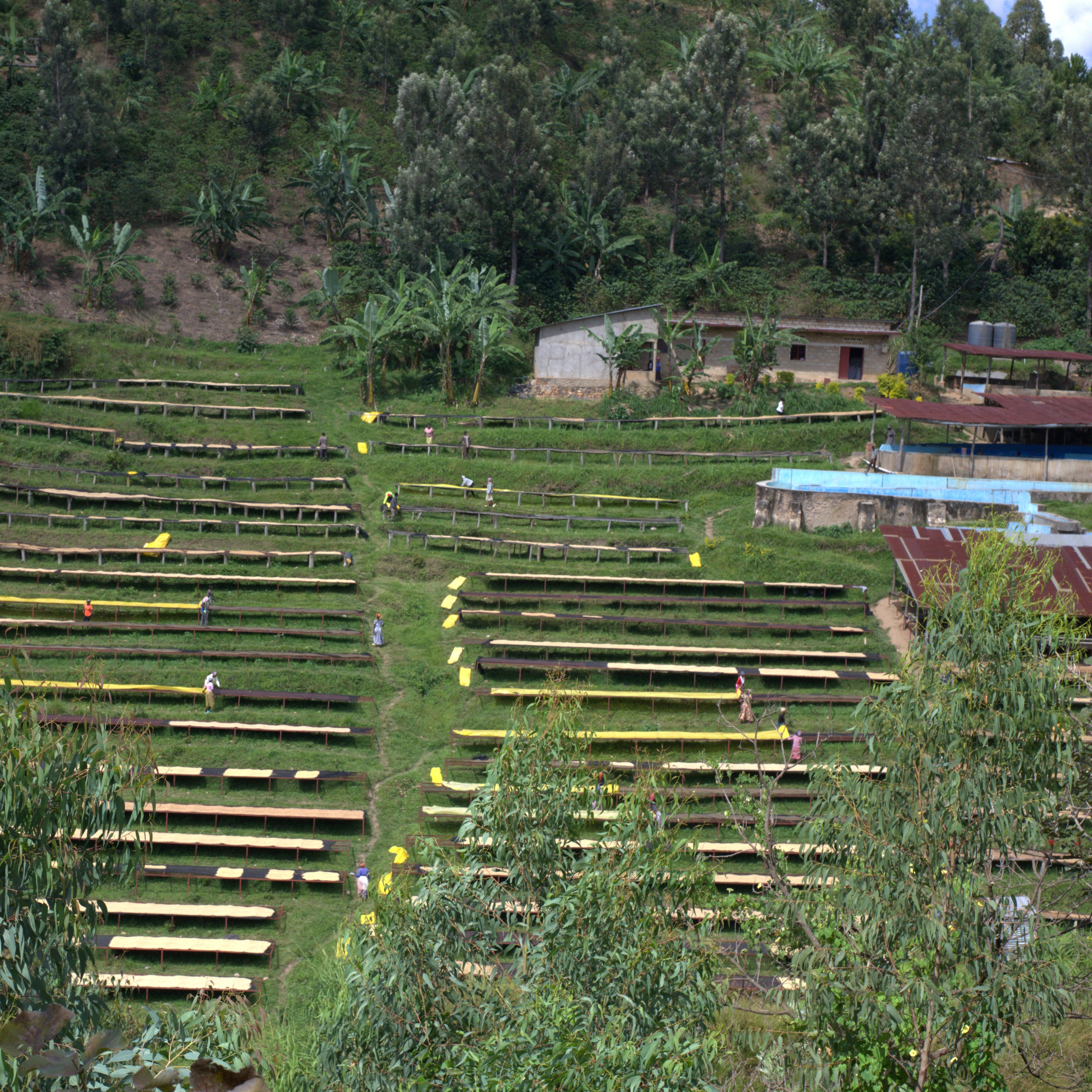 Long distance picture of Rwandan washing station