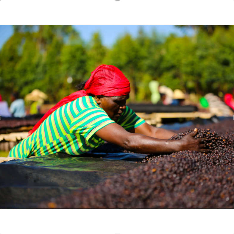 Ethiopia Rumudamo Natural